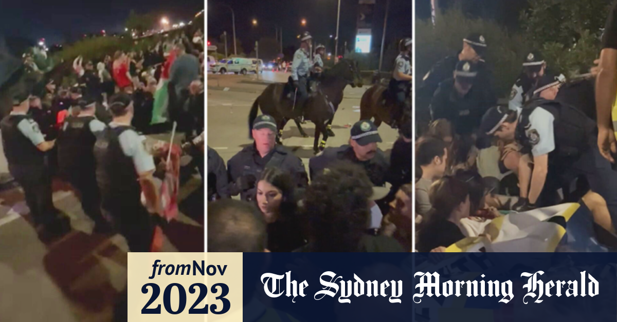 Video: Police charge 23 protesters after Sydney demonstration